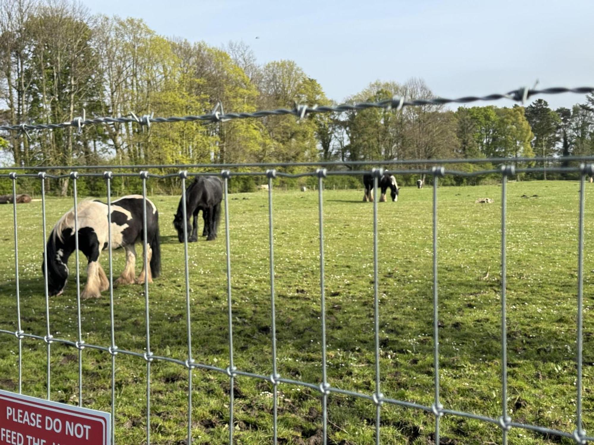 Pony Gate Caravan On Haggerstone Castle West Lawn Berwick Upon Tweed Екстериор снимка