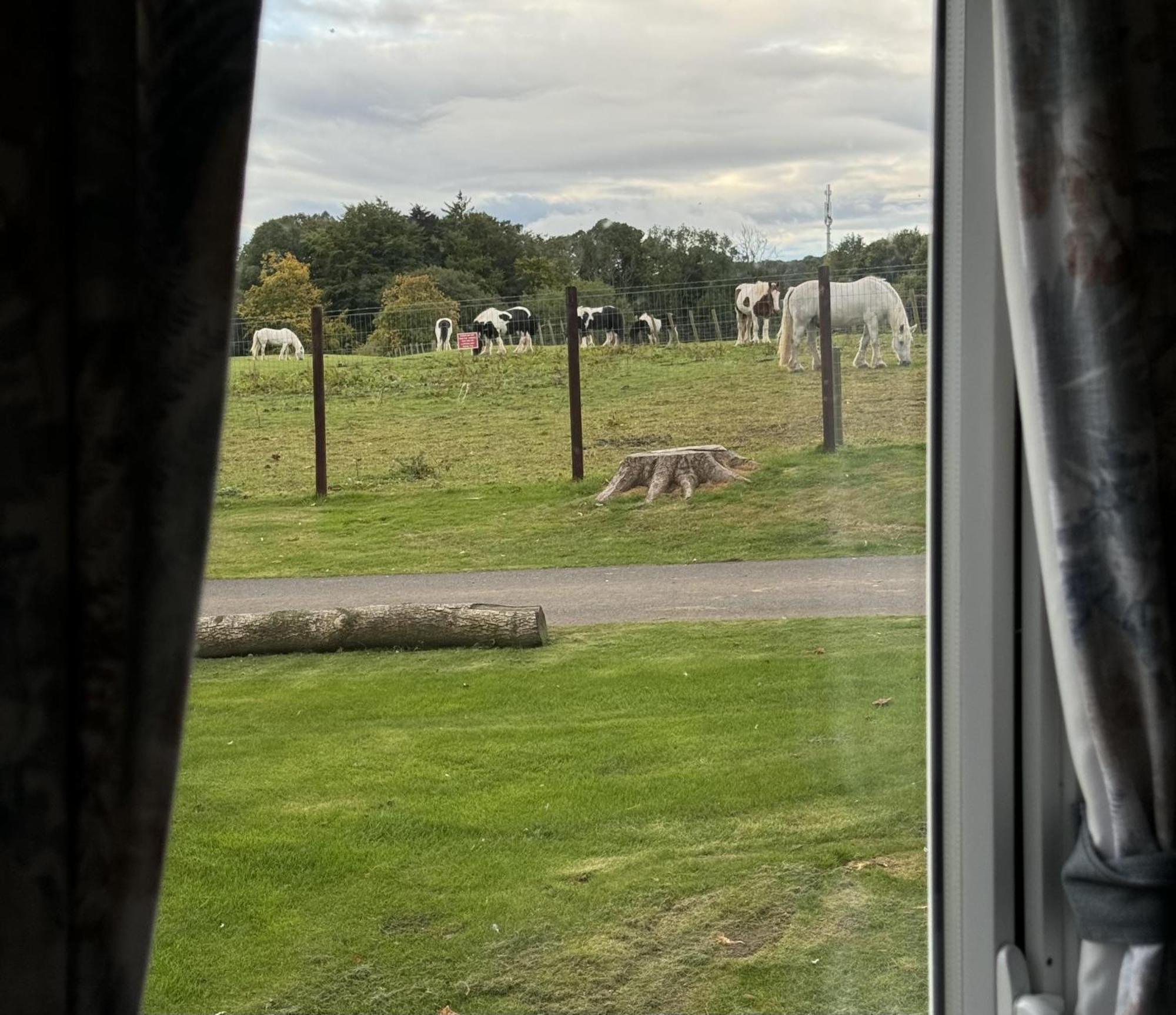 Pony Gate Caravan On Haggerstone Castle West Lawn Berwick Upon Tweed Екстериор снимка